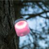 Inflatable, solar-powered light hanging in tree of backyard