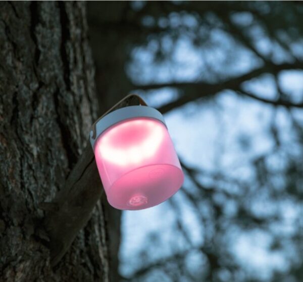 Inflatable, solar-powered light hanging in tree of backyard