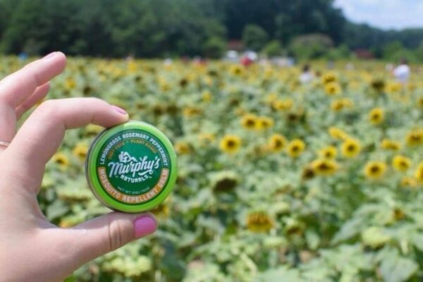 Murphy's Naturals brand all natural mosquito repellent balm modeled in a field and shown in small travel tin