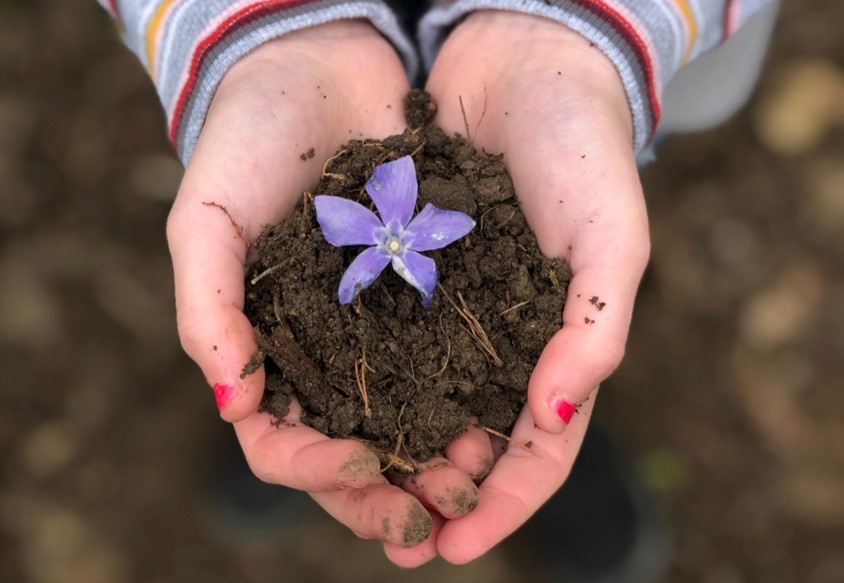 Dirt in hands for how to compost