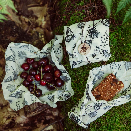 Photo shows an outdoor lunch with food all wrapped in Bee's Wrap beeswax food wraps. Shown in a fun National Geographic partnered monarch print.