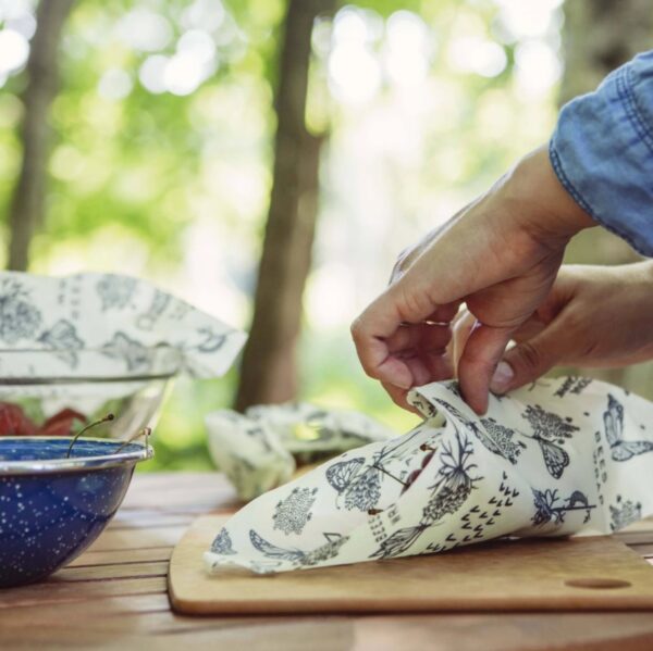A model is wrapping up fruit in an eco-friendly Bee's Wrap food wrap; photo shows the model warming the wrap with her fingers so that it will fold and crease around the food.